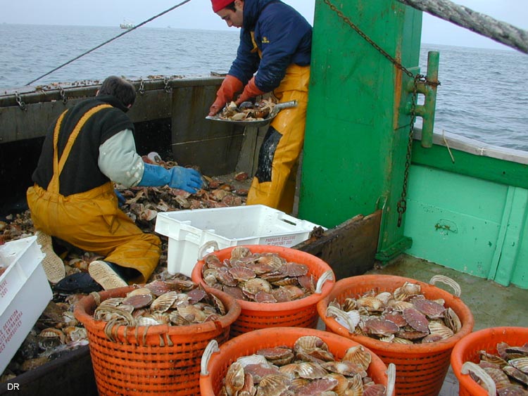 ouvbaie 01 18