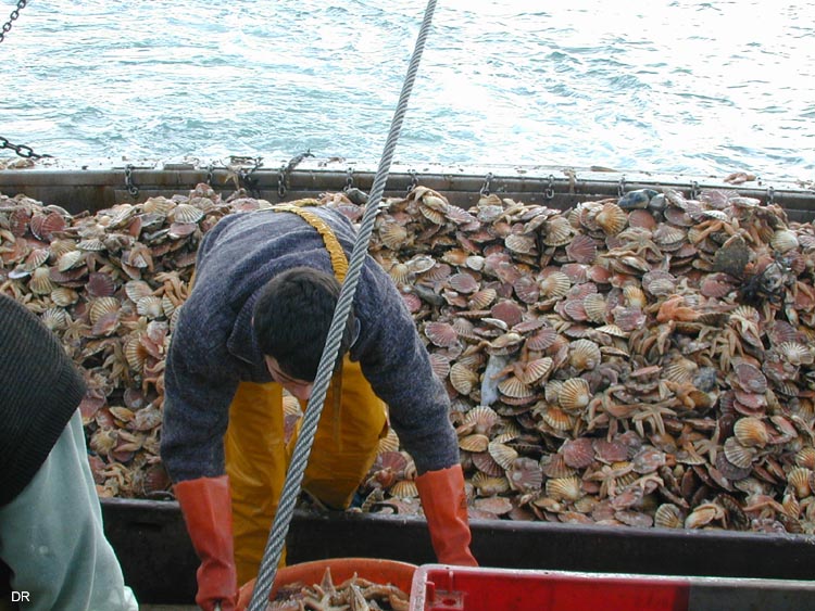 ouvbaie 01 29