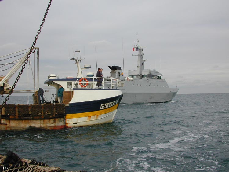 jacoba 8