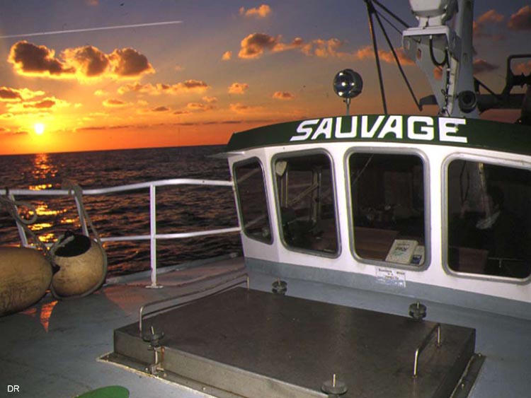 sauvage15