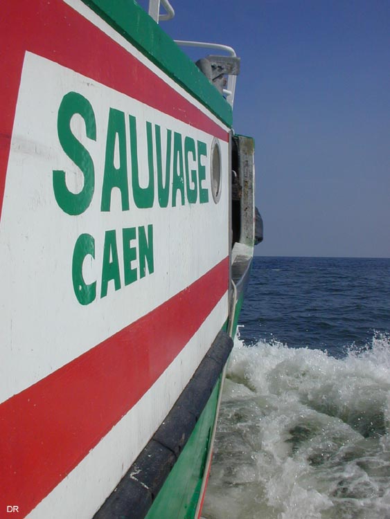 sauvage7