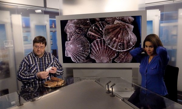 scallop_0314.jpg