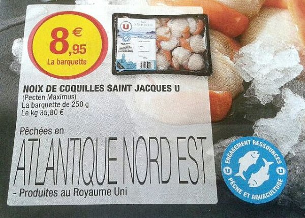 SuperU-csj.jpeg