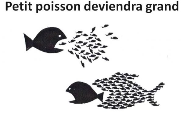 petit-poisson.jpg