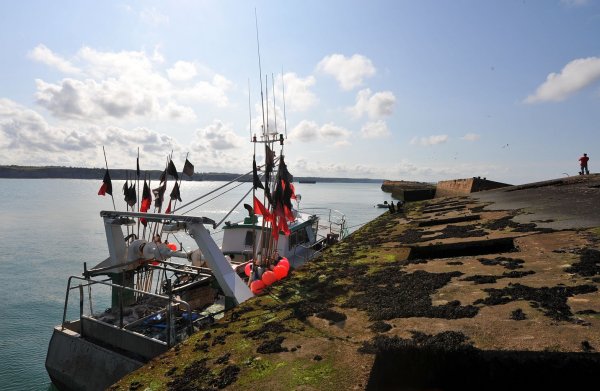 sauvage-ponton-arromanches.jpg